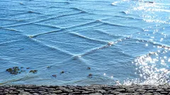 «Störung in der Matrix»: Auf dem Michigansee wurden seltene quadratische Wellen beobachtet